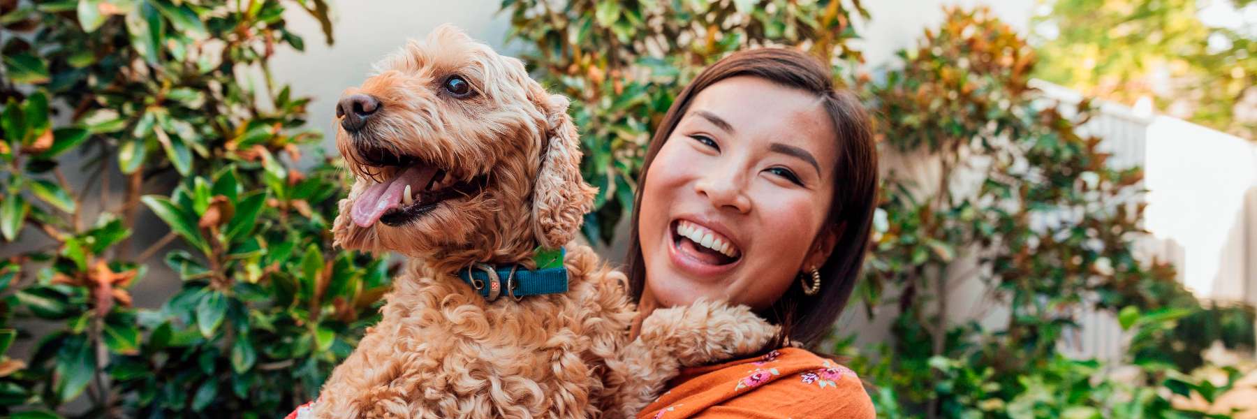 remove white spots on teeth in aurora